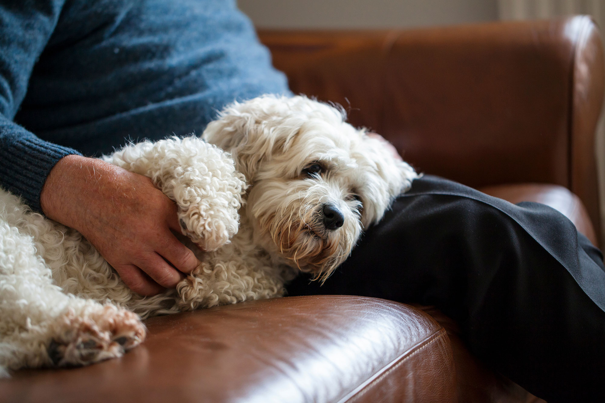 Mann_mit_Hund_Sofa